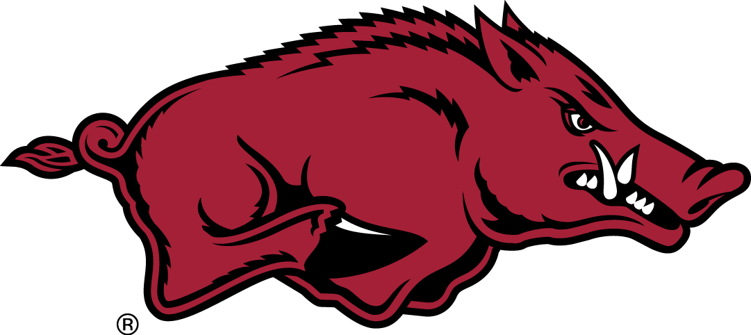 Arkansas Razorbacks 2014-Pres Primary Logo iron on paper